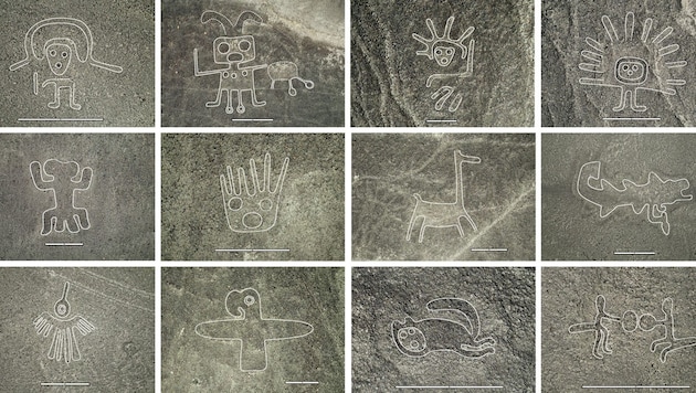 Einige der mehr als 300 neu entdeckten Scharrbilder in Nazca. (Bild: © PNAS/Sakai et al. (CC BY-NC-ND 4.0))