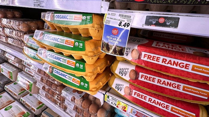 Die hohe Inflation macht vielen Amerikanern zu schaffen. Im Bild: Preise in Chicago Ende ...