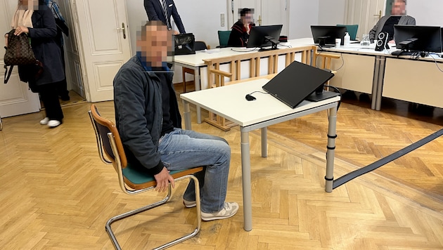 The accused unskilled worker in the Vienna regional court. (Bild: Sophie Pratschner, Krone KREATIV)