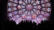 Gotische Rosette ist eines der Wunder in Notre-Dame