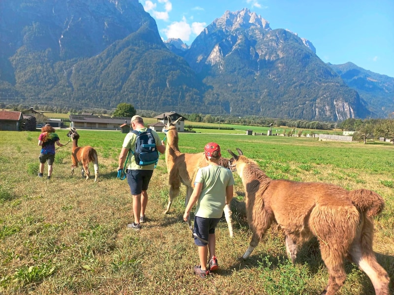 People and animals go for a walk with a rope. (Bild: zVg)