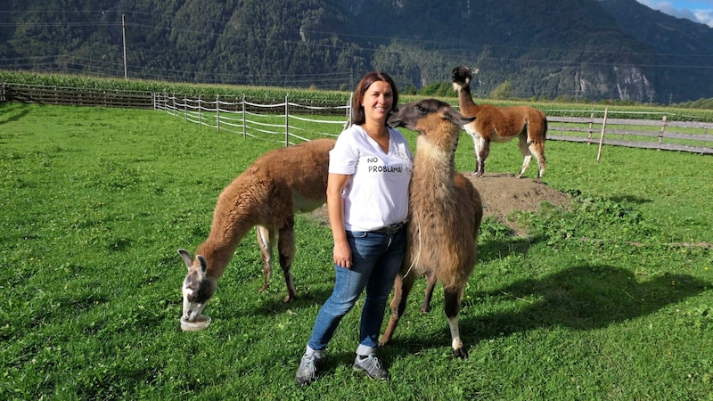 Sylvia Astner has enough space for the animals on her parents' farm. More llamas could follow in the next few years. The escape animals are trusting with their owner. Every now and then they even give them a kiss, especially when a bowl of food is waiting. (Bild: zVg)