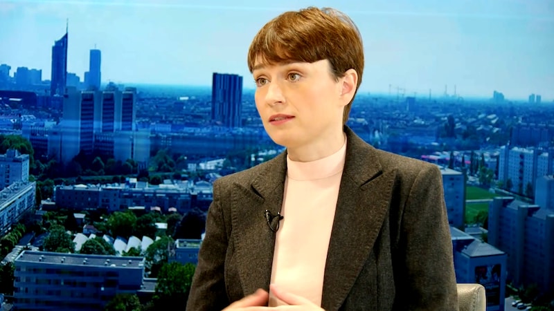 Sigrid Maurer (Bild: krone.tv)