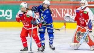 (Bild: VSV Lady Hawks)