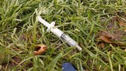 Ein ekliges Alarmsignal: Beim und im Volksgarten fand Lorenz Potocnik (Liste Linz Plus) ...