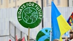 83 Prozent der Jungen und der Älteren kämpfen für Umweltschutz – nur eine Gruppe rebelliert ...