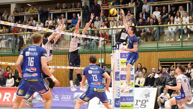 Volleyball in Styria continues to soar - the infrastructure is lagging behind. (Bild: GEPA pictures)