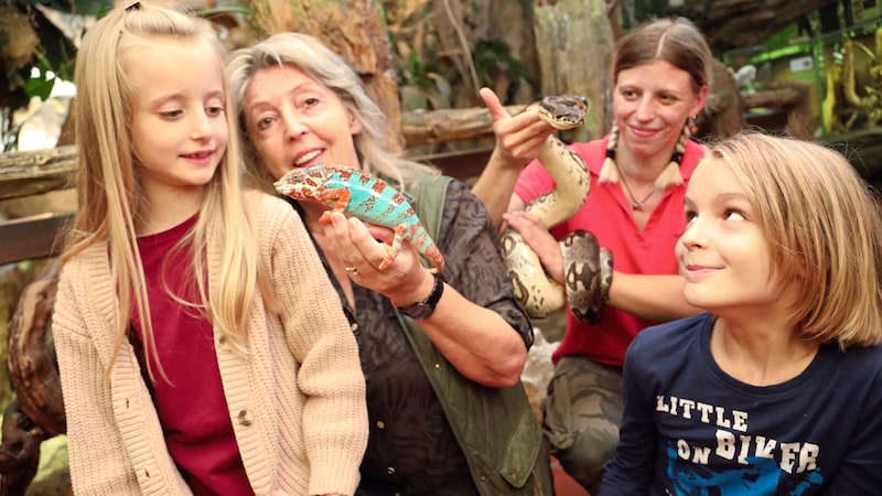 Hotspot: Happ Reptile Zoo (Bild: Rojsek-Wiedergut Uta/Uta Rojsek-Wiedergut)