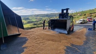 Zehn Tonnen Mai landeten auf der Straße