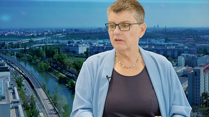 Madleine Petrovic from the Petrovic list in the krone.tv talk