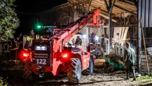 Mit dem Teleskoplader zogen Florianis aus Moosbach und Mauerkirchen das Pferd aus der Güllegrube. (Bild: Pressefoto Scharinger © Daniel Scharinger, Krone KREATIV)