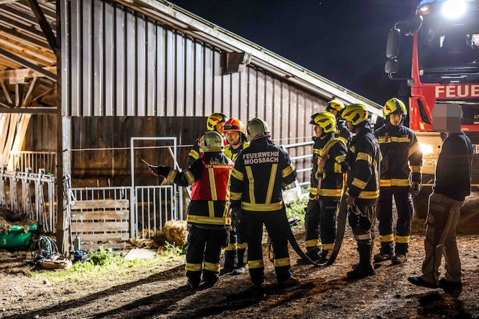 Knapp drei Stunden lang dauerte der schwierige Einsatz.