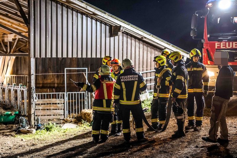 Knapp drei Stunden lang dauerte der schwierige Einsatz. (Bild: Pressefoto Scharinger © Daniel Scharinger, Krone KREATIV)