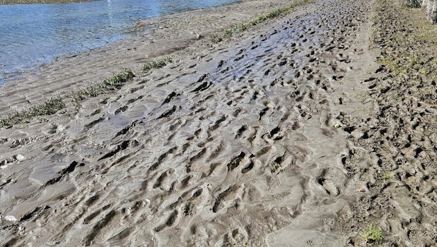 Die Straße in der Siedlung ist voller Schlamm. (Bild: zVg)