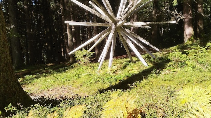 Ein Sterngarten wartet im Wald auf die Wanderer.