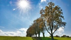 Bei schönem Herbstwetter eignet sich der Maestoso-Rundweg für einen Familienausflug ganz besonders (Bild: Weges)