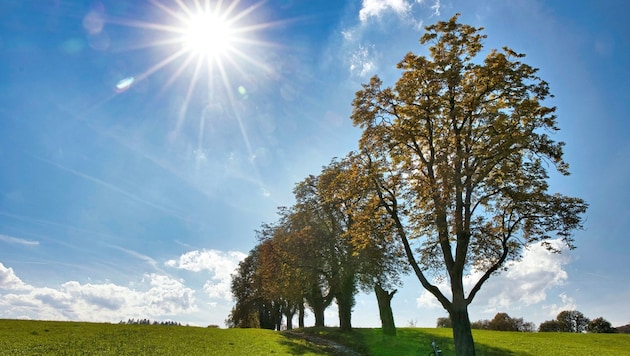 In fine autumn weather, the Maestoso circular trail is particularly suitable for a family outing (Bild: Weges)