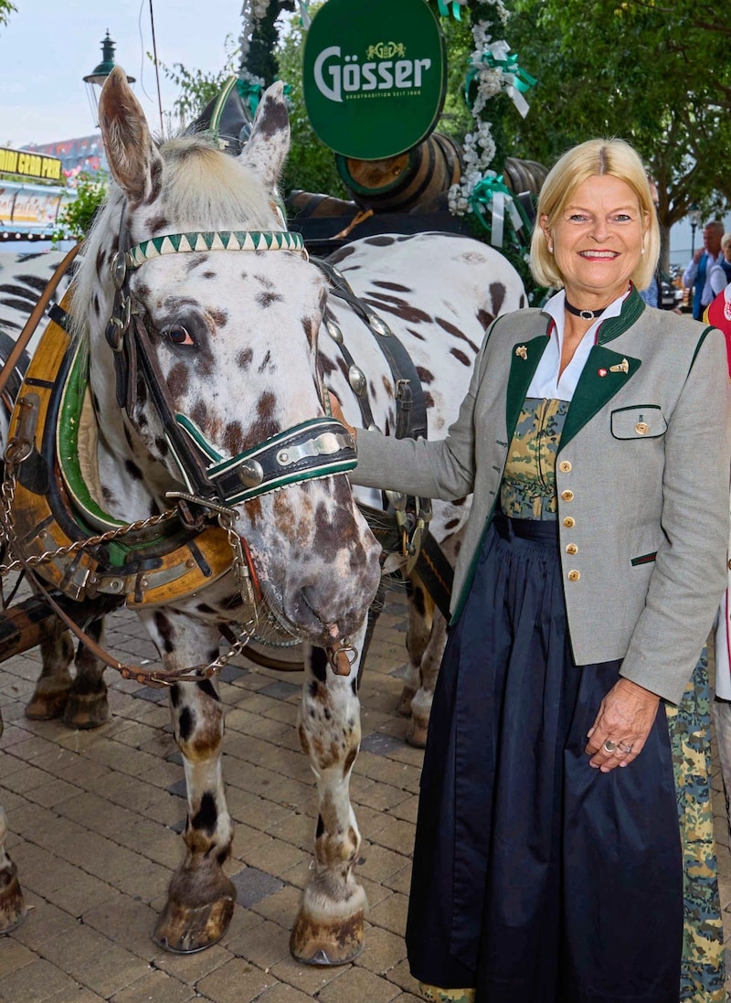 Reiner Zufall? Verteidigungsministerin Klaudia Tanner beim Ross mit Tarnpunkten. (Bild: Tuma Alexander/Starpix / Alexander Tuma)