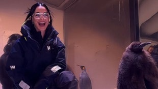 Wer könnte Pinguin-Baby „Pesto“ widerstehen? Katy Perry jedenfalls nicht. (Bild: www.instagram.com/katyperry)