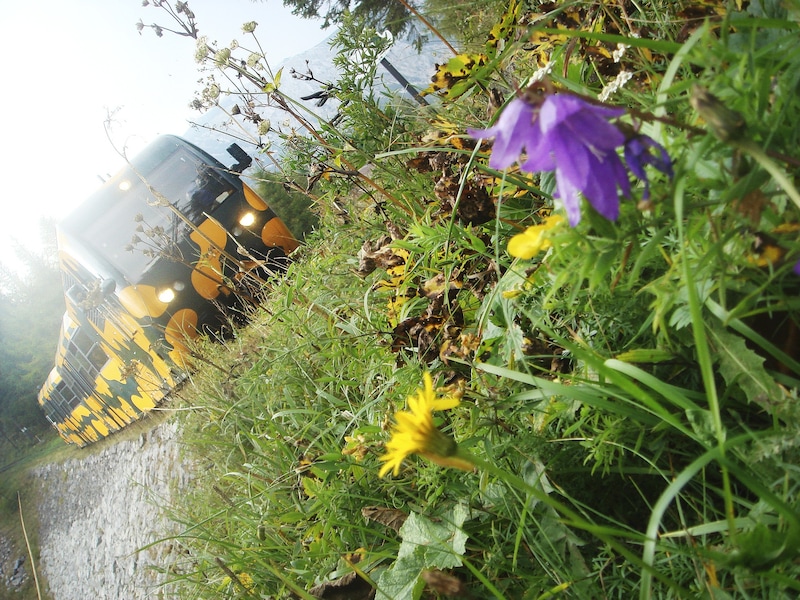 The Salamander and Rax cable car are running again as usual. (Bild: Doris Seebacher)