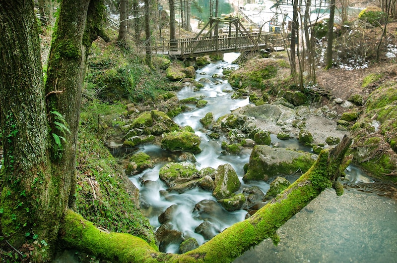 The popular Myra Falls in Muggendorf are also looking forward to welcoming numerous visitors again. (Bild: Seebacher Doris)