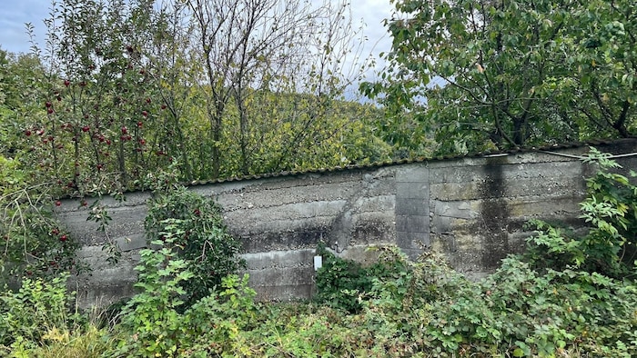 Hinter diesen Mauern im Wiener Speckgürtel dürfte Tierschutz in die völlig falsche Richtung ...