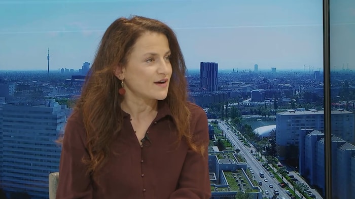 Krone internal politics journalist Petja Mladenova