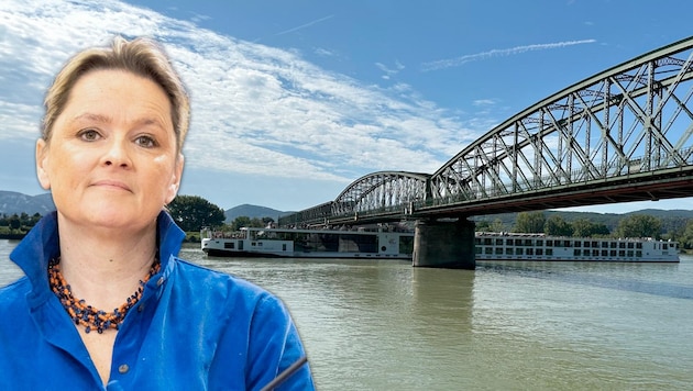 When it comes to her home region, FPÖ Provincial Councillor Susanne Rosenkranz is very clear. (Bild: Krone KREATIV/FPÖ NÖ, SEPA Media/Michael Indra)