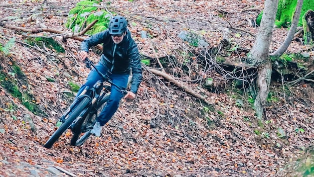 E-Biken im Wald und auf Forstwegen ist nicht ganz ungefährlich (Symbolbild).