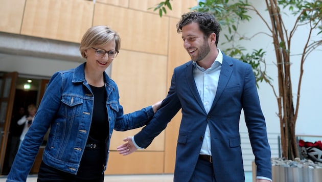 Franziska Brantner und Felix Banaszak kandidieren für den Grünen-Vorsitz. (Bild: Kay Nietfeld / dpa / picturedesk.com)