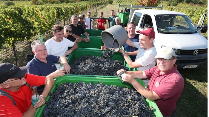 Winegrowers help together, and not just in Donnerskirchen.