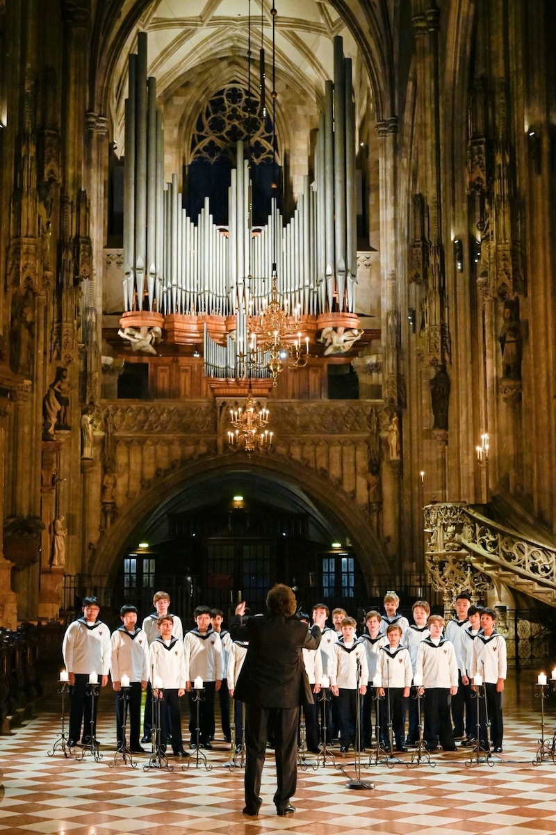 The choirboys will be singing in St. Stephen's Cathedral on October 7 (Bild: ORF / First Look Abrechnung/ORF)