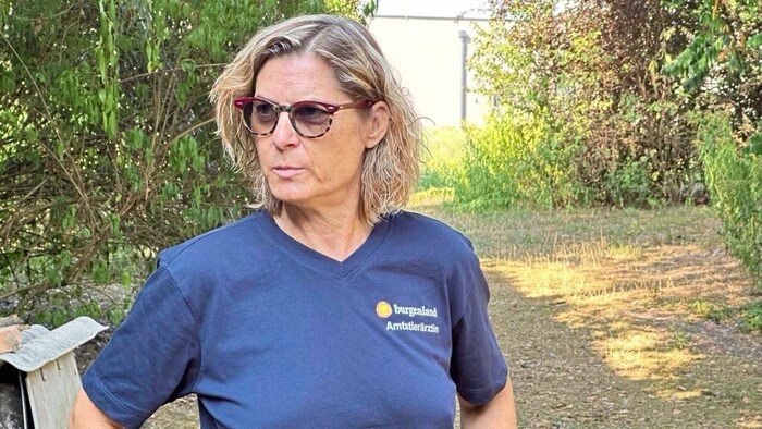 Michaela Labitsch, vet from Mogersdorf: "Everyday life must become affordable again. Regional ...