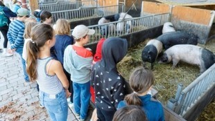 Andreas Maurer ist es ein großes Anliegen, Kinder über artgerechte Haltung und Tierwohl zu informieren. Und die Schüler saugen die Informationen neugierig auf. (Bild: Holl Reinhard/Reinhard Holl)