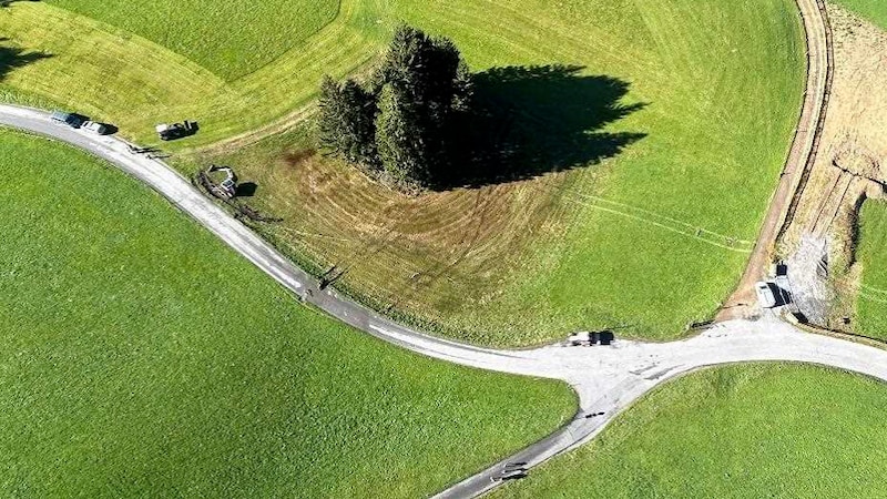 Before doing so, however, they caused some damage. (Bild: Polizei Vorarlberg)