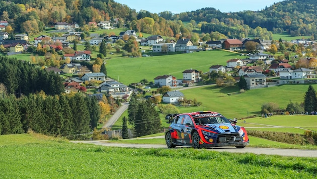 Experience the rally as a crown winner from October 17 to 20. (Bild: ADAC Motorsport)