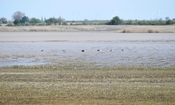 Stille als Lebensqualität sieht man in Neusiedl am See zunehmend in Gefahr.