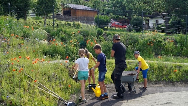 Even the youngest children can get involved in growing vegetables or herbs and learn lots of interesting facts in the process. (Bild: Gemeinde Virgen)