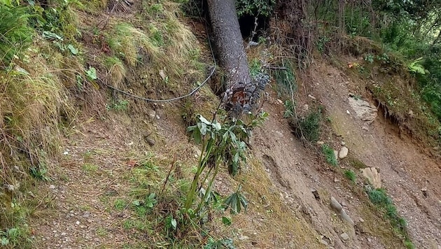 The Alpe Adria Trail between Gmünd and Seeboden was completely destroyed (Bild: Elisa Aschbacher )