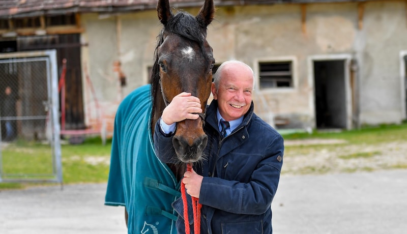 Karl Moisl ist Präsident des Welser Trabrennvereins. (Bild: Dostal Harald)