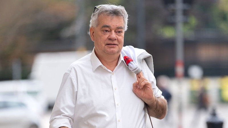 Werner Kogler (Greens) is "only" a minister now (Bild: APA/GEORG HOCHMUTH)