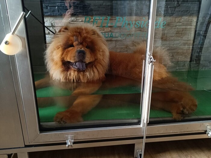 Den meisten macht das Plantschen so viel Freude, dass sie danach auch noch ein Bad genießen.