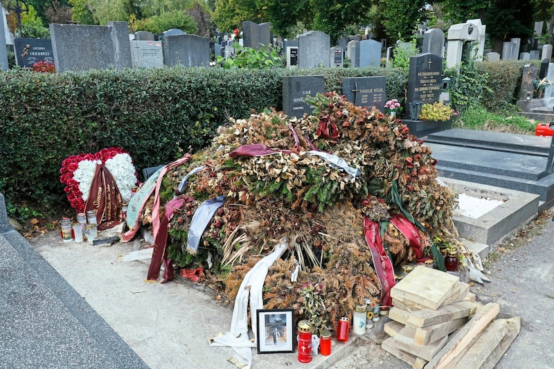 Richard Lugner's grave covered by wilted flowers and gray wreaths. "It's like a calling card...", says a Lugner connoisseur about this picture. (Bild: Holl Reinhard/Reinhard Holl)