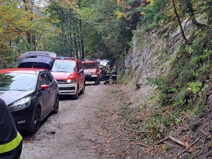Der Forstunfall forderte die Einsatzkräfte.