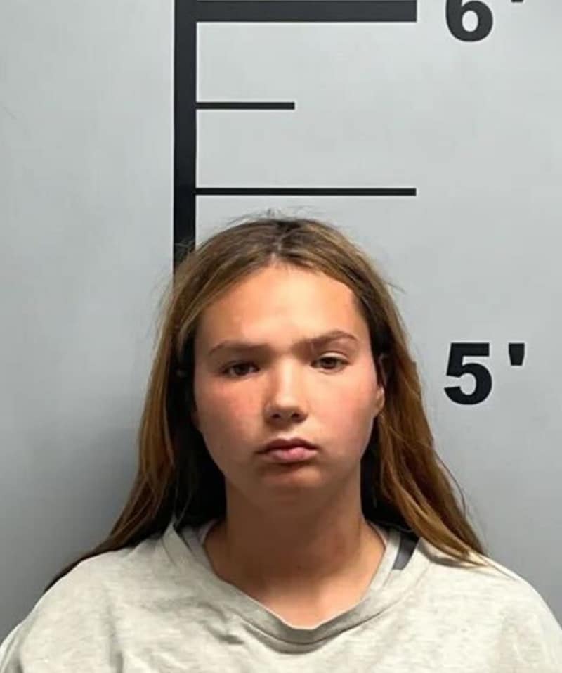 Shalene Ehlers stated "that she already had three dogs and that it wouldn't work with the baby". (Bild: Benton County Sheriffs Dept .)