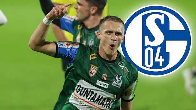 SV Ried has gained FC Schalke 04 as a partner. (Bild: GEPA/GEPA pictures, FC Schalke 04)