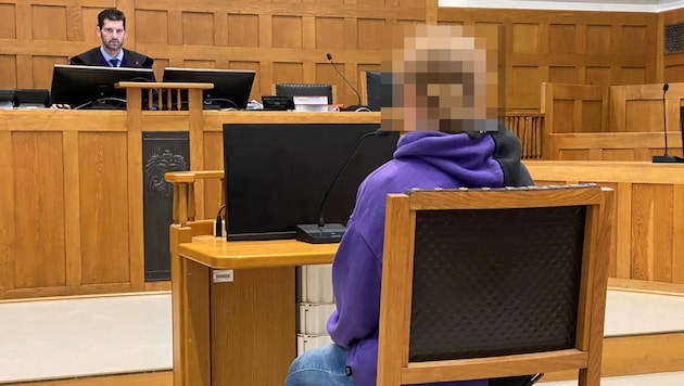 The pupil was quite meek in court and showed herself to be reasonable. (Bild: Krone KREATIV)