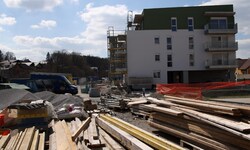 Im Landtag sorgte Holz als Baustoff für Diskussionen.