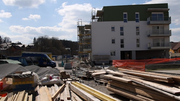 Im Landtag sorgte Holz als Baustoff für Diskussionen. (Bild: Tröster Andreas)