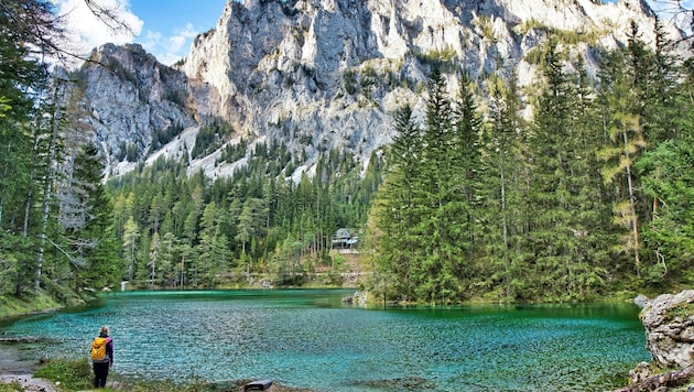 The scenic beauty of the area around the Grüner See is breathtaking at any time of the year - but this tour is particularly inspiring in autumn. (Bild: Weges)